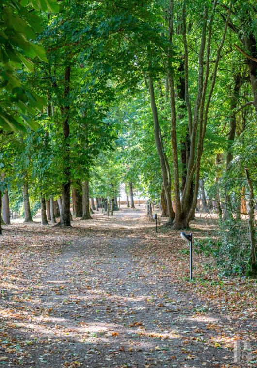 Dans l’Yonne, à équidistance de Paris, Lyon et Genève, une ancienne place forte médiévale et son parc aménagés pour accueillir calmes séjours et grands événements  - photo  n°9